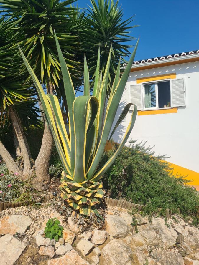 Casa Ensolarada B&B And Pottery Aljezur Eksteriør billede